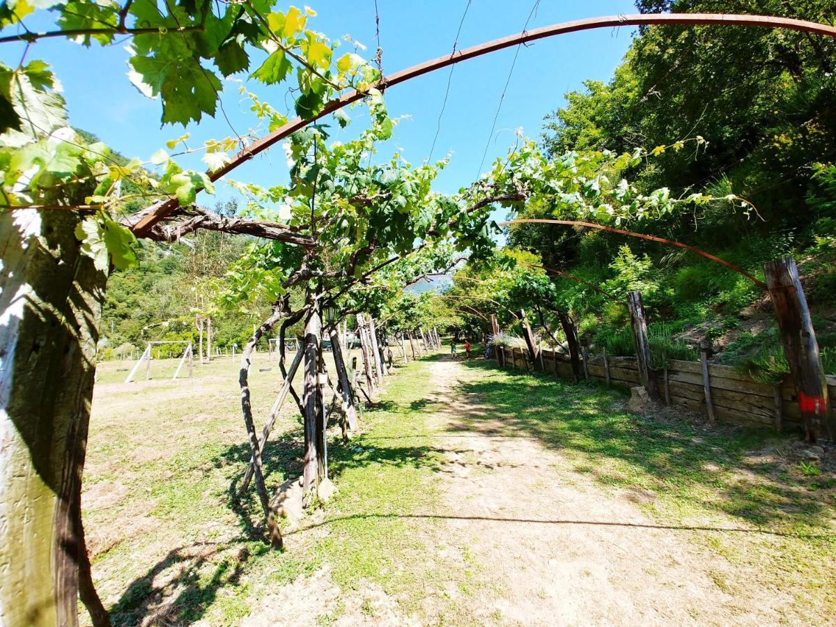 Agricamping Ponteraggio N.1 Hotel Dolceacqua Ngoại thất bức ảnh