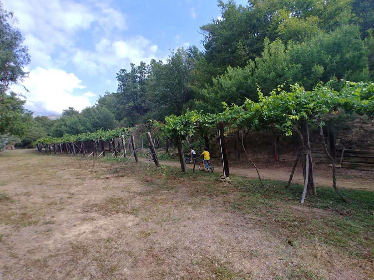 Agricamping Ponteraggio N.1 Hotel Dolceacqua Ngoại thất bức ảnh