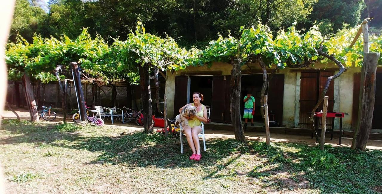 Agricamping Ponteraggio N.1 Hotel Dolceacqua Ngoại thất bức ảnh