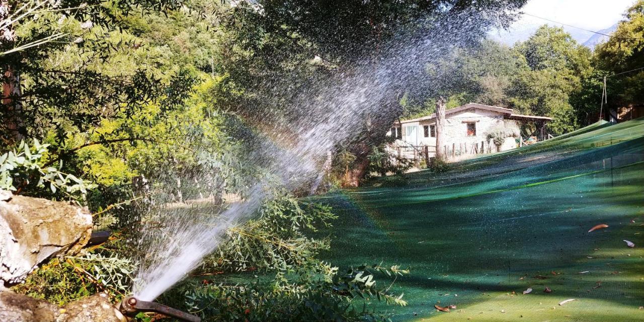 Agricamping Ponteraggio N.1 Hotel Dolceacqua Ngoại thất bức ảnh