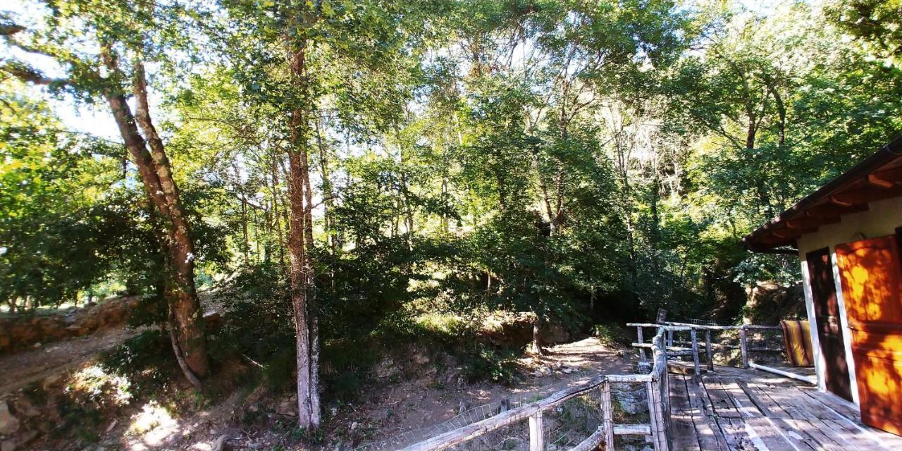 Agricamping Ponteraggio N.1 Hotel Dolceacqua Ngoại thất bức ảnh