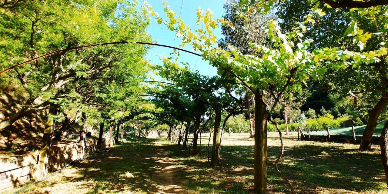 Agricamping Ponteraggio N.1 Hotel Dolceacqua Ngoại thất bức ảnh