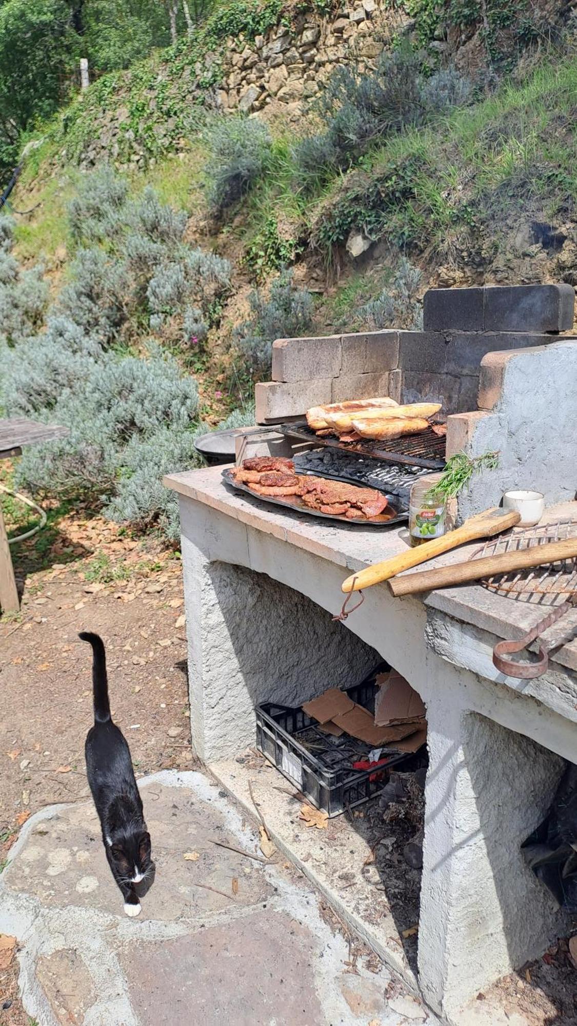 Agricamping Ponteraggio N.1 Hotel Dolceacqua Ngoại thất bức ảnh